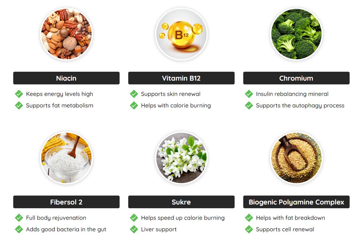 Fast Lean Pro Supplement Fact